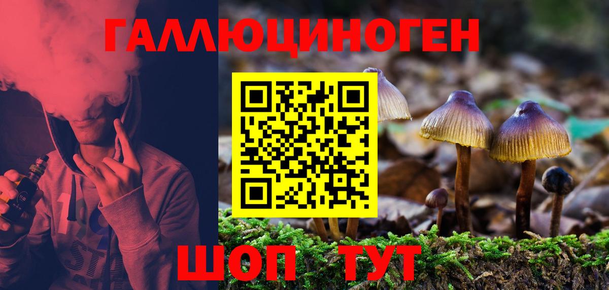 Псилоцибиновые грибы GOLDEN TEACHER Конаково