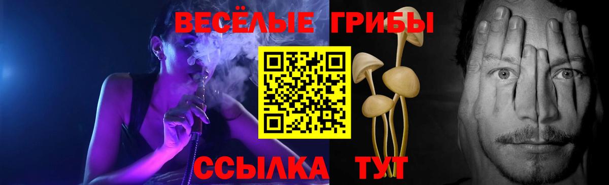 Псилоцибиновые грибы мицелий  Вход с VPN  Конаково 